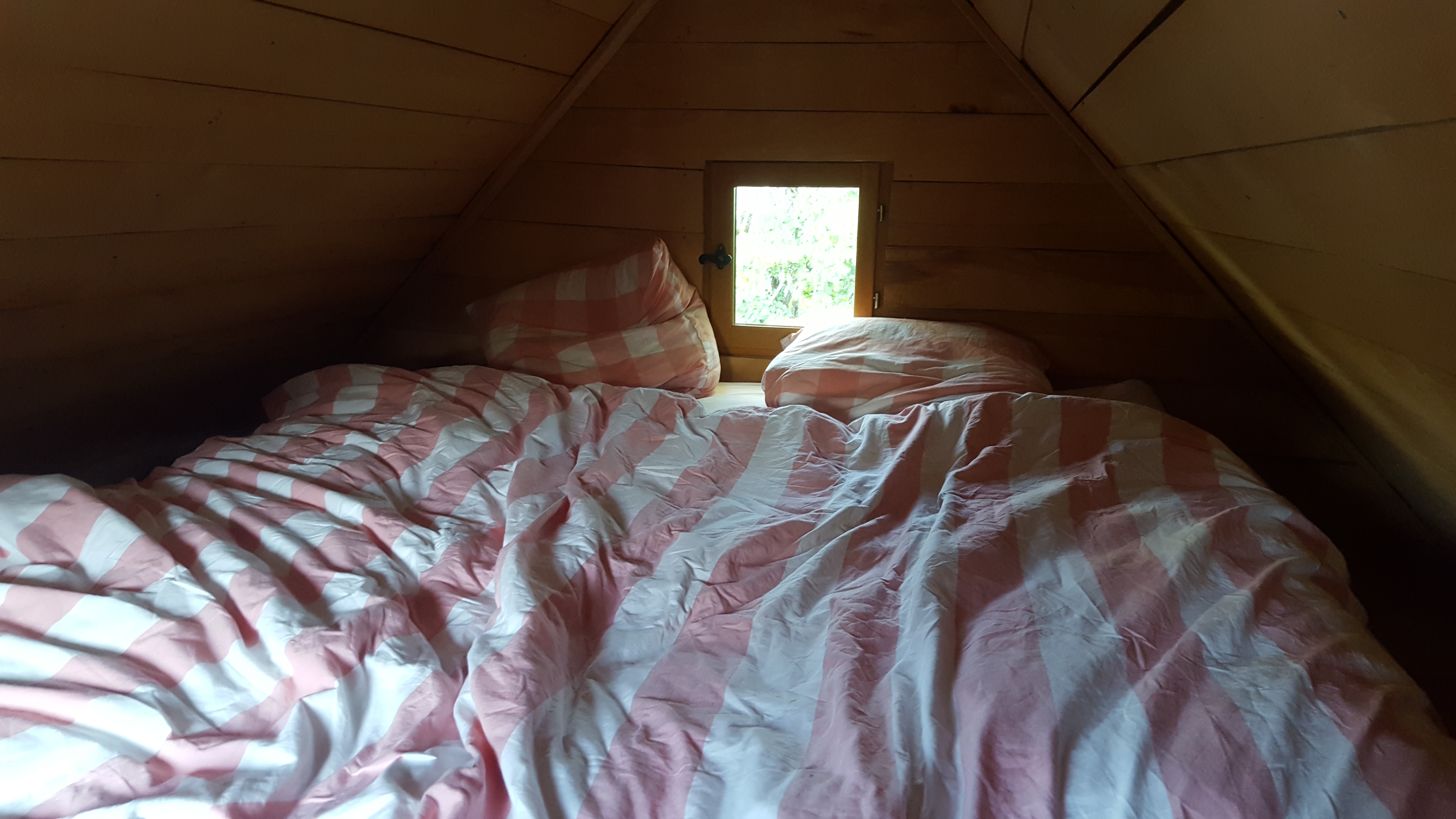 Photo n° 6 de l'avis de Sandrine.O fait le 18/10/2020 à 11:22