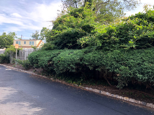 Pharmacy «Rite Aid», reviews and photos, 15 Summerhill Rd, Spotswood, NJ 08884, USA