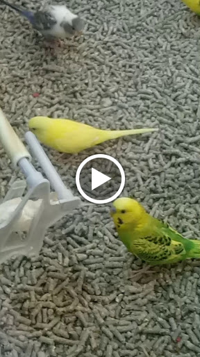 Pet Supply Store «Petco Animal Supplies», reviews and photos, 525 S 5th St, Bismarck, ND 58504, USA