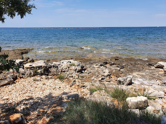 Plicina beach