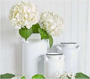 Community Center «Lynch/van Otterloo YMCA», reviews and photos, 40 Leggs Hill Rd, Marblehead, MA 01945, USA