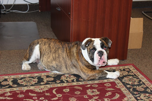 Insurance Agency «Allstate Insurance Agent: Jane R. Larsen», reviews and photos