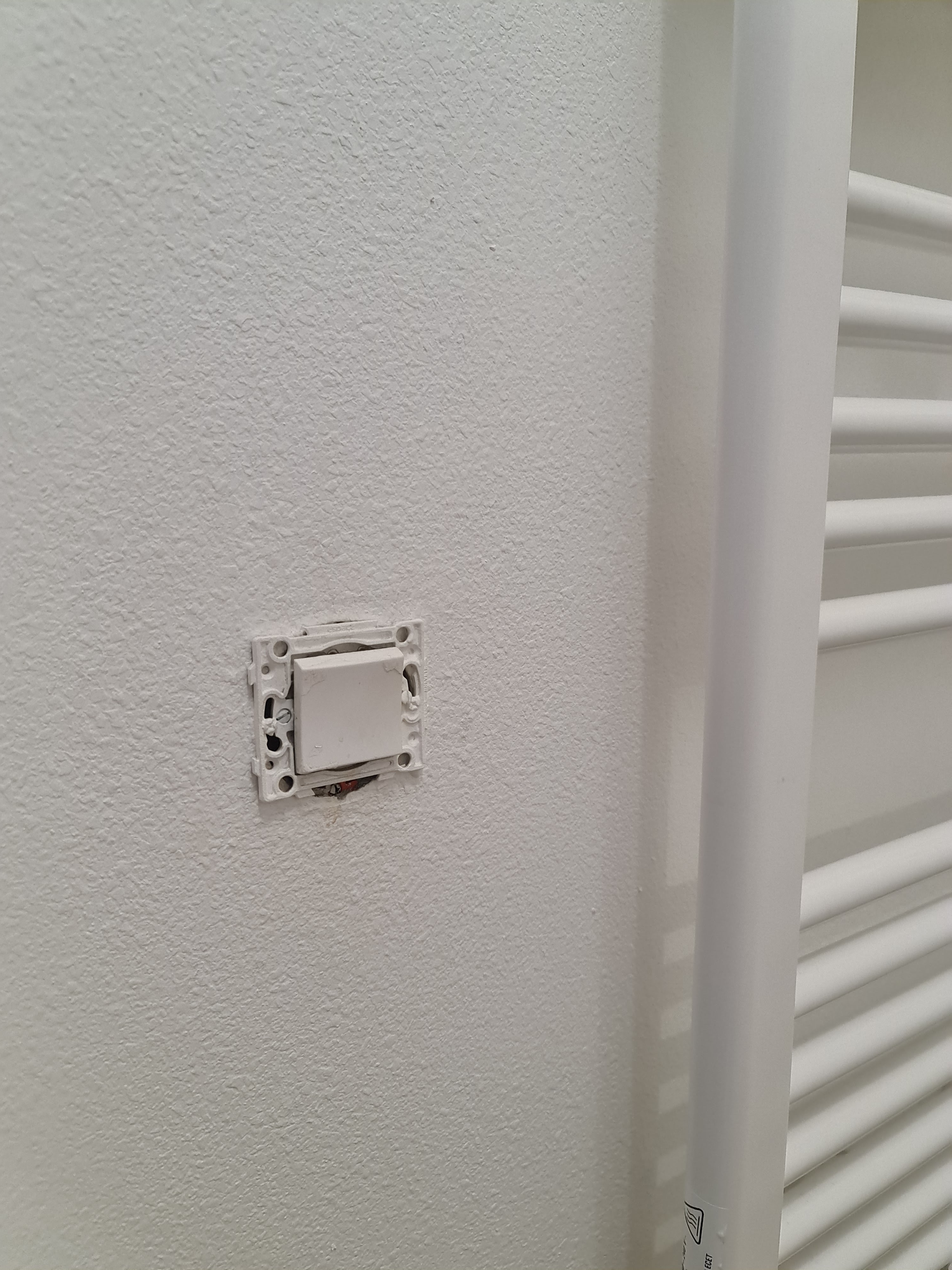 Photo n° 1 de l'avis de Basile. fait le 19/03/2023 à 18:49