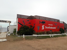 Parador Scotiabank 31 de Playa Mansa