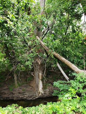 Max E. Roper Park - photo 12