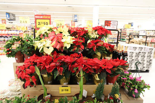 Grocery Store «Food Lion», reviews and photos, 15429 Dahlgren Rd, King George, VA 22485, USA