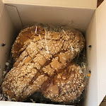 Photo n°1 de l'avis de L.e fait le 27/05/2018 à 19:17 sur le  Olivieri 1882 à Arzignano