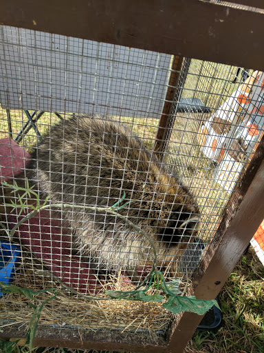 Ranch «Smith Family Ranch, LLC», reviews and photos, 13444 Moore Road, Lakeland, FL 33809, USA