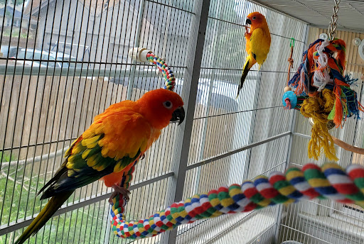 5989 Meijer Dr, Milford, OH 45150, USA