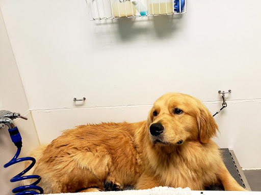 Pet Store «Pets Marketplace», reviews and photos, 2110 Paces Ferry Rd SE, Smyrna, GA 30080, USA