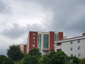 Zonguldak Bülent Ecevit Üniversitesi İktisadi Ve İdari Bilimler Fakültesi