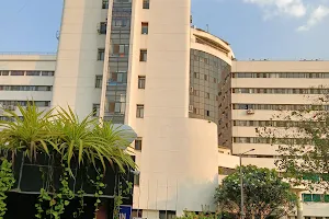 Deenanath Mangeshkar Hospital and Research Center image
