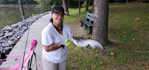 Hotel «Lake Barkley State Resort Park», reviews and photos, 3500 State Park Rd, Cadiz, KY 42211, USA