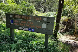 Little Digger Track image