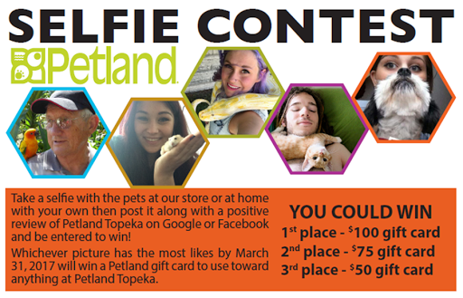 Pet Store «Petland Topeka», reviews and photos, 1801 SW Wanamaker Rd, Topeka, KS 66614, USA