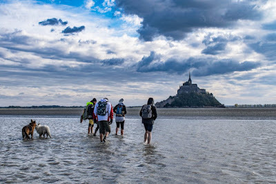 Patrice TRÈCHE - Guide baie Mont Saint-Michel à Saint-Pierre-Langers