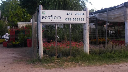 Vivero Ecoflora.