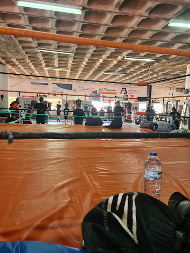 Escola Boxe Portimão - Portimão
