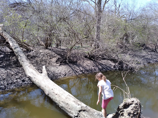 Tourist Attraction «Funky Bones», reviews and photos, 1850 38th St, Indianapolis, IN 46218, USA