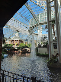 Digital Age Travel Professionals - Photo 2 - Car repair in Biloxi, MS, Gulfport