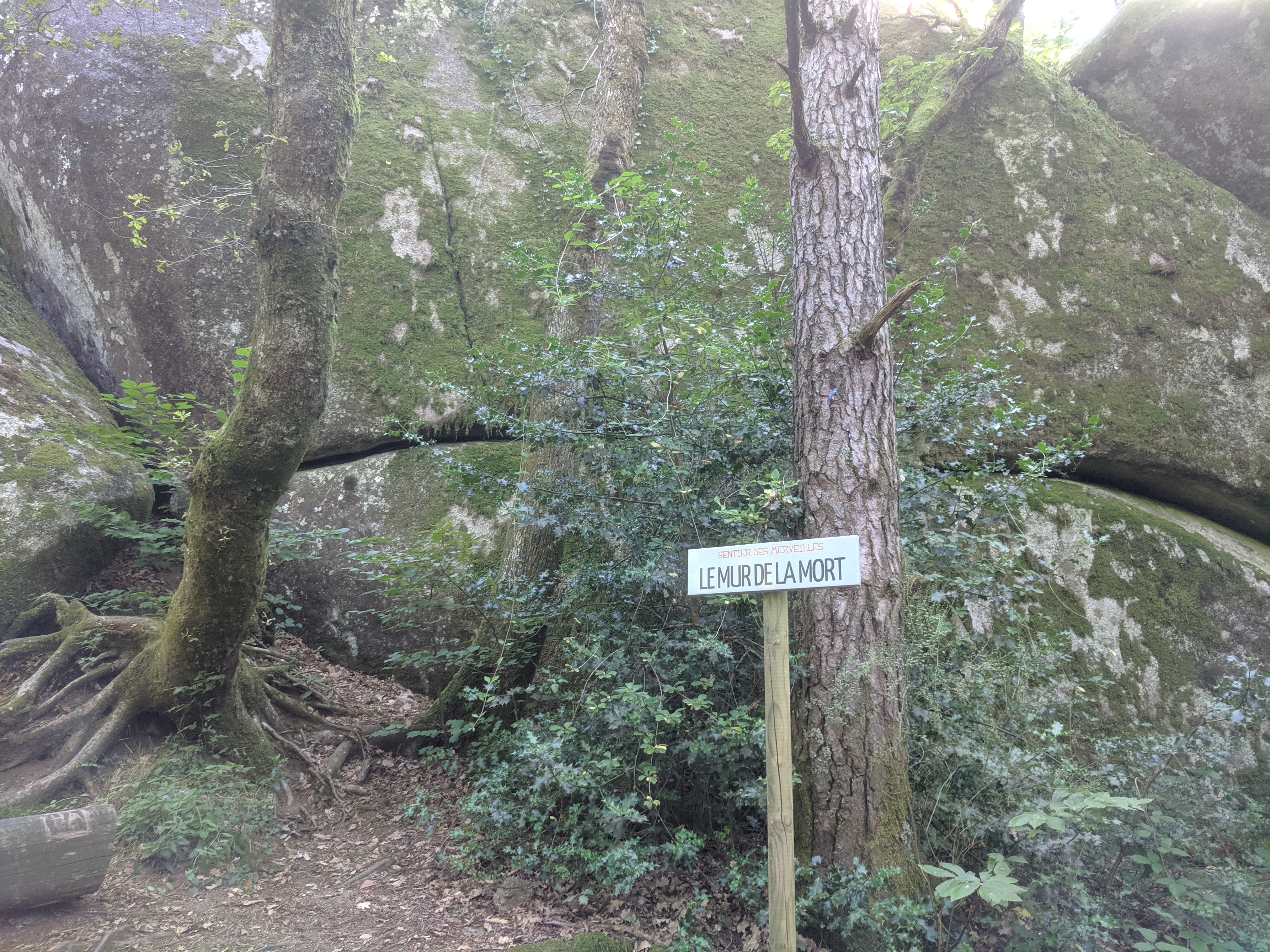 Photo n° 2 de l'avis de Aline.a fait le 07/08/2019 à 20:16
