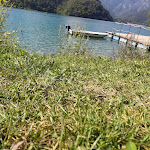 Photo n°11 de l'avis de Giuseppe.a fait le 14/09/2021 à 23:11 sur le  Casa Anita à Tiarno di Sotto