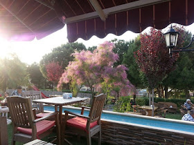 Çamlıca Cafe & Restaurant