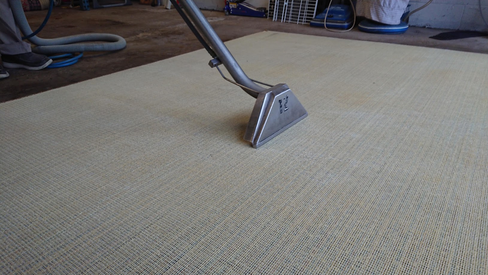 Carpet Cleaning Chicago