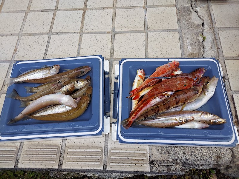 伊豆下田マリンセンター