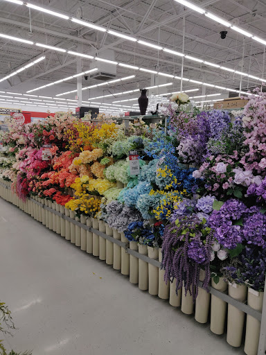 Craft Store «Michaels», reviews and photos, 7635 N MacArthur Blvd, Irving, TX 75063, USA