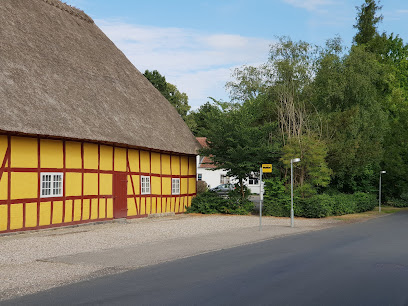 Blangstedgård (Odense Kommune)