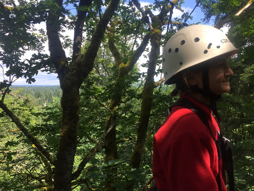 Community Center «South Bellevue Community Center», reviews and photos, 14509 SE Newport Way, Bellevue, WA 98006, USA