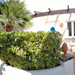 Photo n°20 de l'avis de Luca.e fait le 13/10/2021 à 10:10 sur le  Hotel Terme Tritone Resort & Spa à Forio