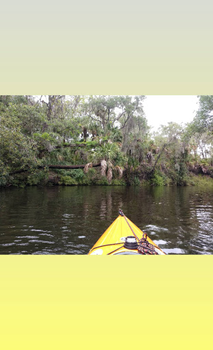 Nature Preserve «Rye Preserve», reviews and photos, 905 Rye Wilderness Trail, Parrish, FL 34219, USA