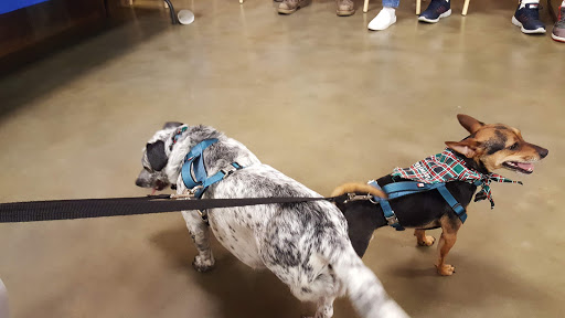 Pet Supply Store «PetSmart», reviews and photos, 322 Robert Smalls Pkwy, Beaufort, SC 29906, USA