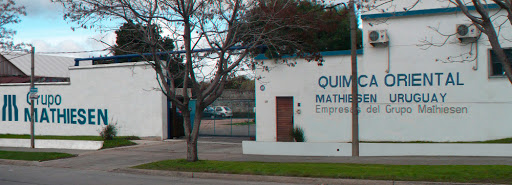 Quimica Oriental, Mathiesen Group