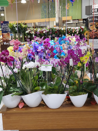 Supermarket «Publix Super Market at Miami Lakes», reviews and photos, 15000 Miami Lakes Dr, Miami Lakes, FL 33014, USA