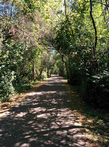 Park «Vista Brook Park», reviews and photos, 6697 SW 88th Ave, Portland, OR 97223, USA