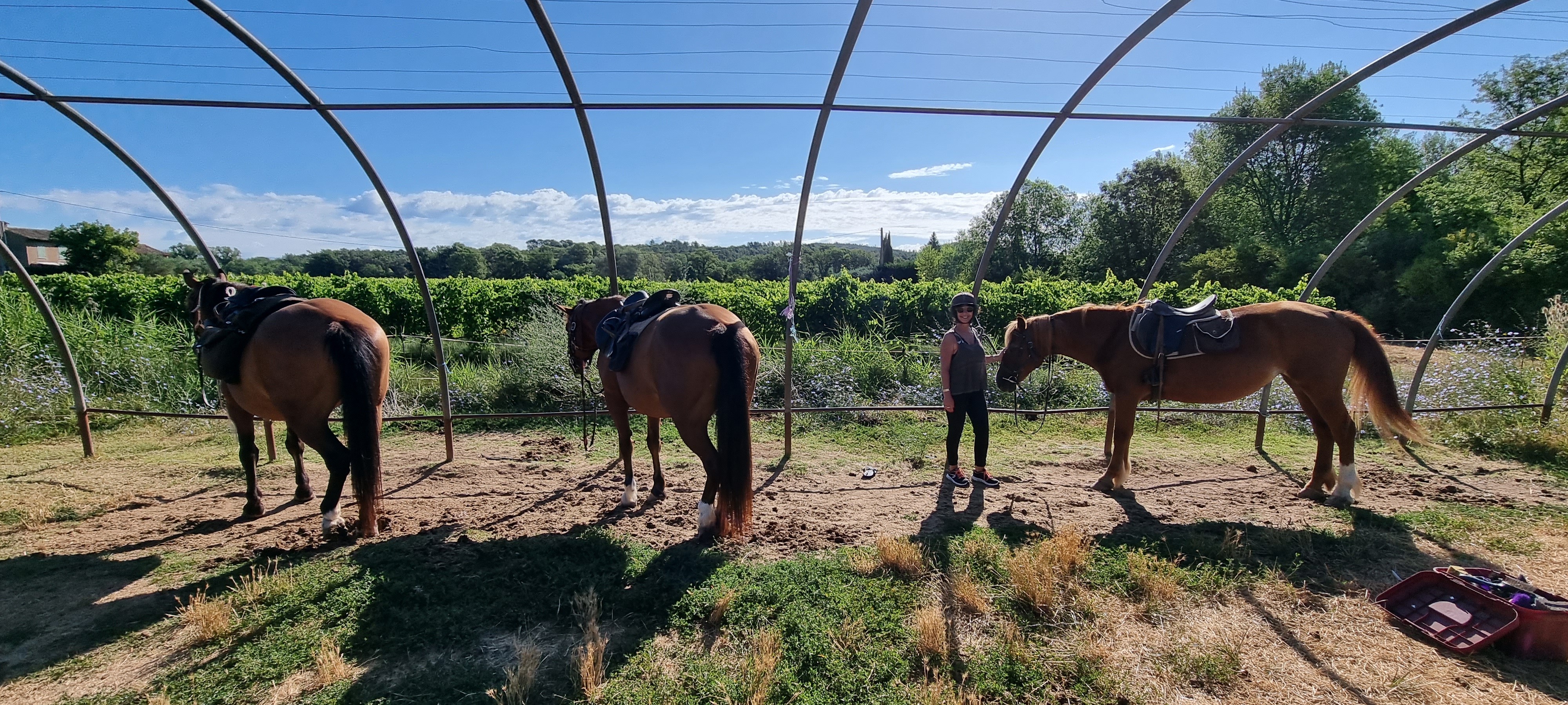 Photo n° 2 de l'avis de Laurent.A fait le 16/07/2021 à 21:40