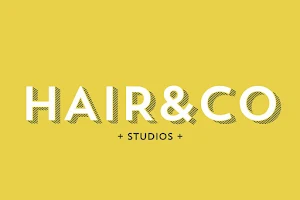 Hair & Co. Studios image
