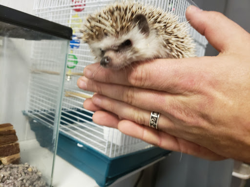 Pet Store «Fish & More Pet Store», reviews and photos, 310 E Main St #8, Sylva, NC 28779, USA