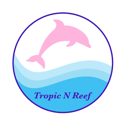 Tropic N Reef Aquariums