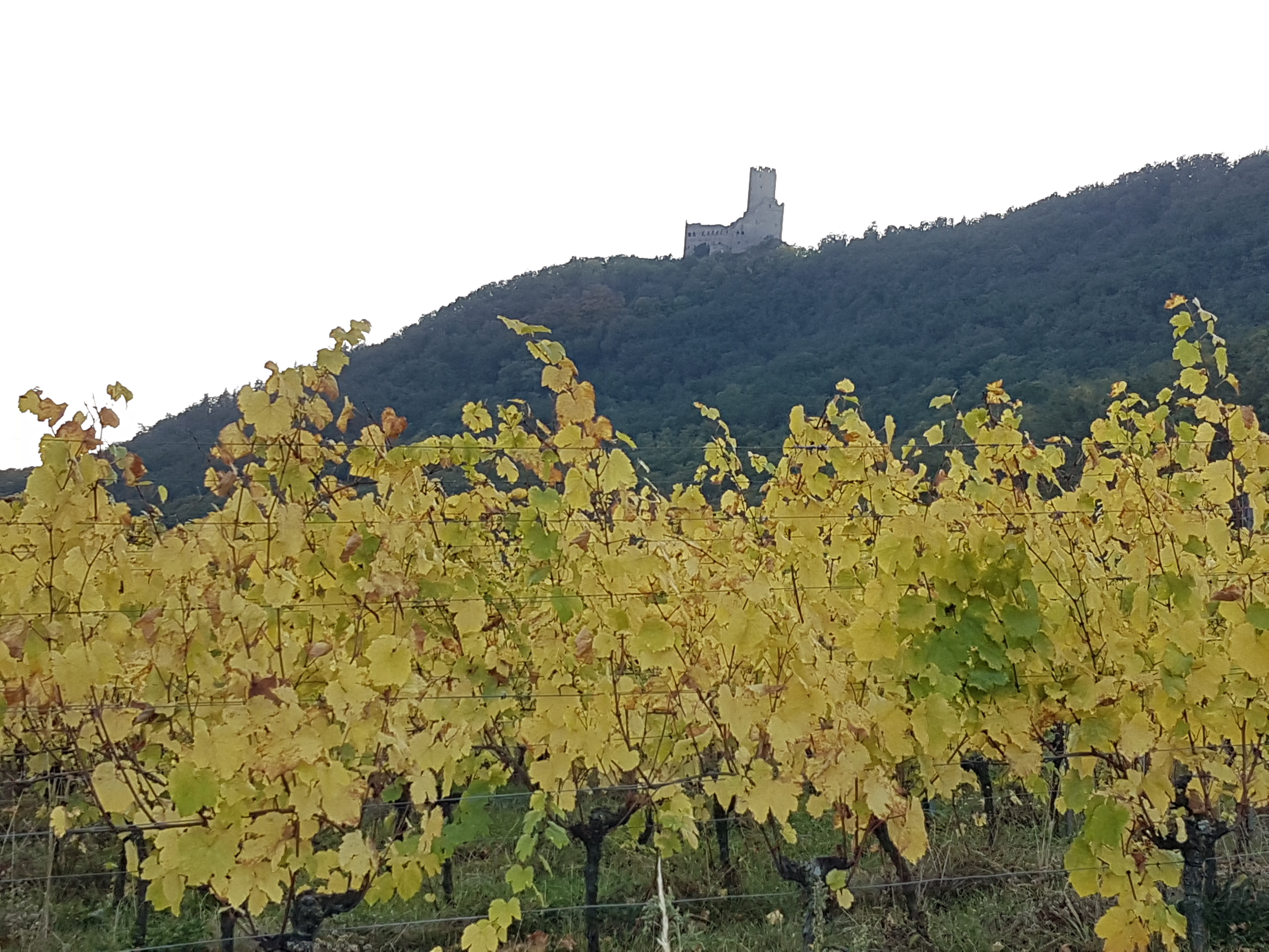 Photo n° 12 de l'avis de Céline,.a fait le 10/10/2021 à 19:13