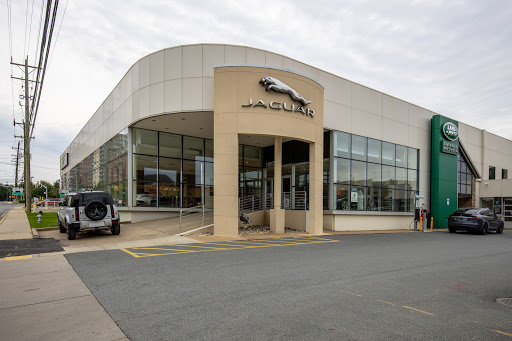 Jaguar Bethesda