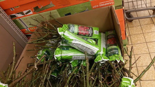 Supermarket «ALDI», reviews and photos, 4041 Gantz Rd, Grove City, OH 43123, USA