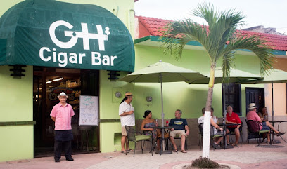 Green House Bar & Grill Cozumel - Calle 2 Norte between Ave. 5, Av. Rafael E. Melgar, Centro, 77600 San Miguel de Cozumel, Q.R., Mexico