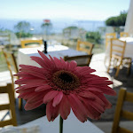 Photo n°3 de l'avis de Karan.i fait le 02/07/2020 à 11:19 sur le  Kona à Ercolano