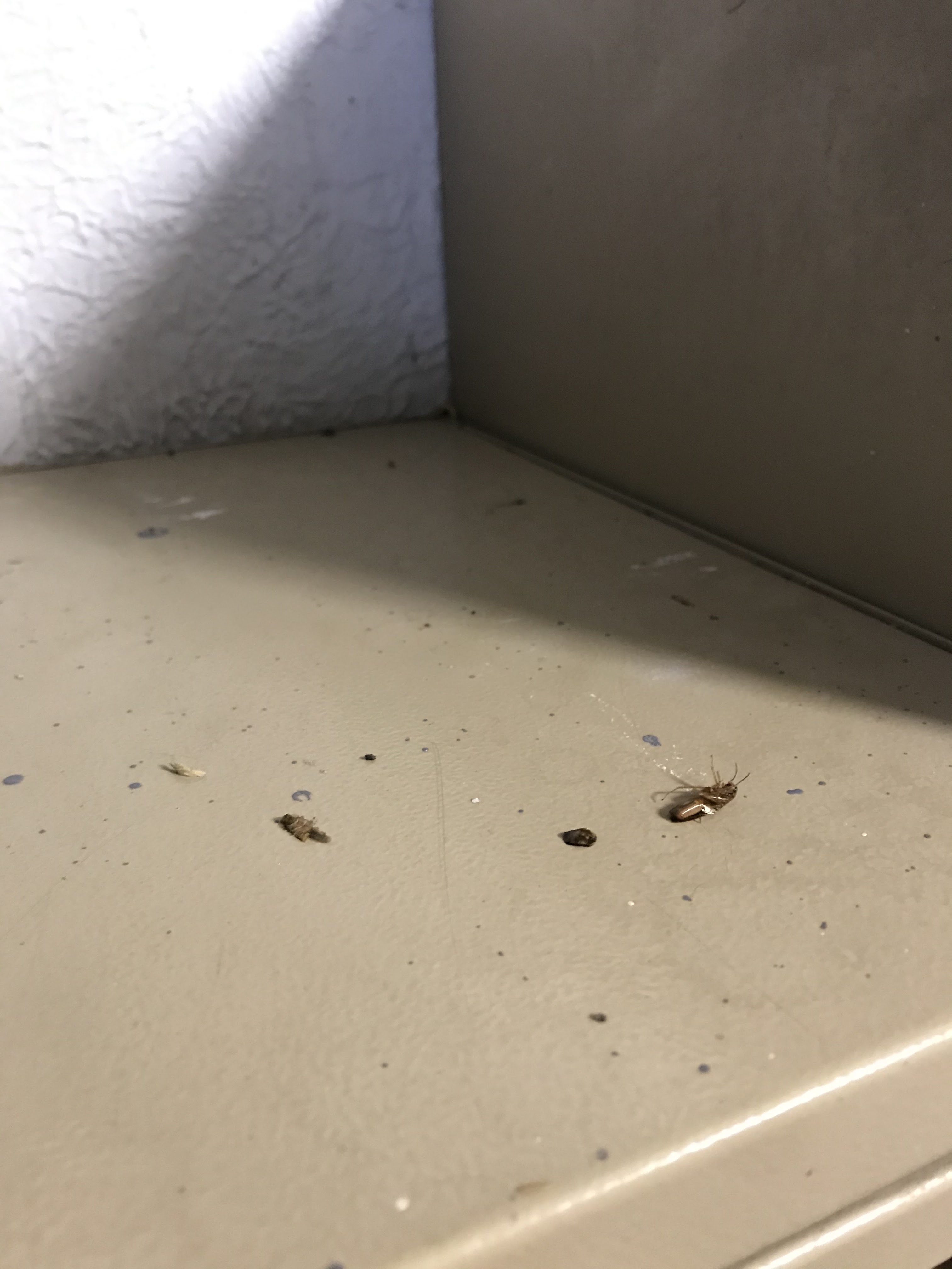 Photo n° 2 de l'avis de daly.a fait le 23/11/2020 à 11:39