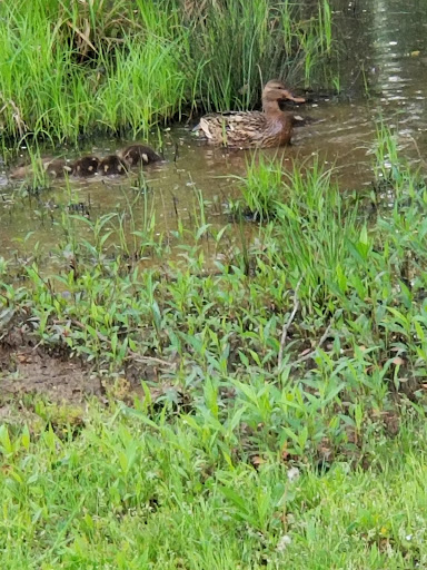 Post Office «United States Postal Service», reviews and photos, 225 Parkway 575, Woodstock, GA 30188, USA