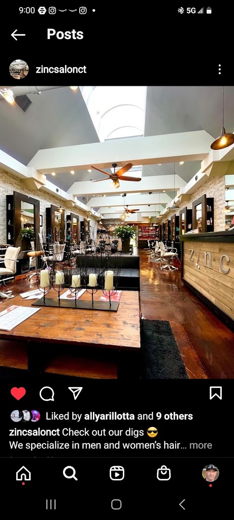 Zinc Salon 06085